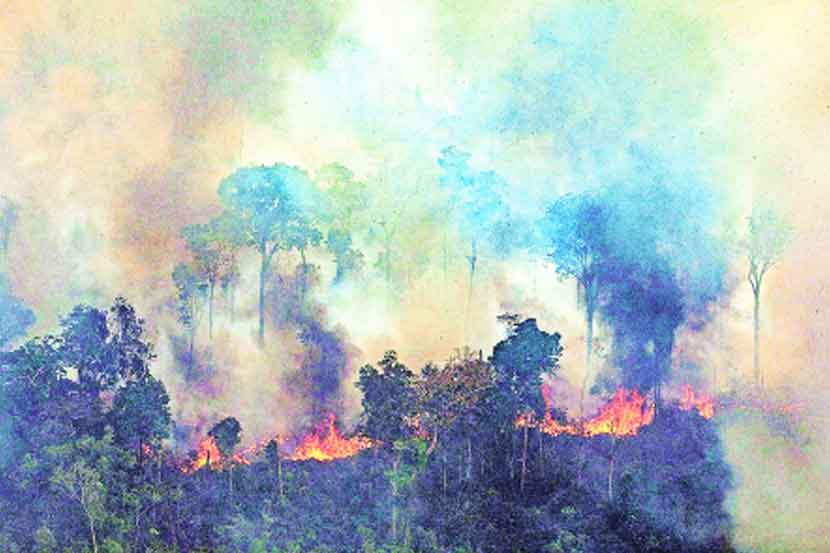 सृष्टीसंहार ठरणार आंतरराष्ट्रीय गुन्हा?