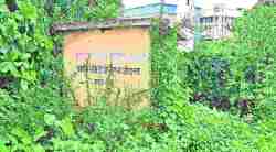 शौचालयांची दुर्दशा