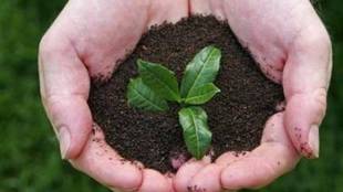 world conservation day