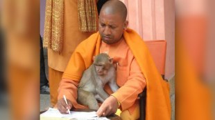 yogi adityanath with monkey social viral photo