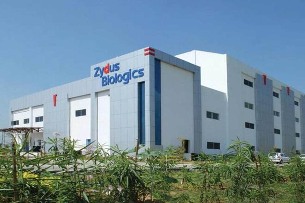 zydus cadila vaccine