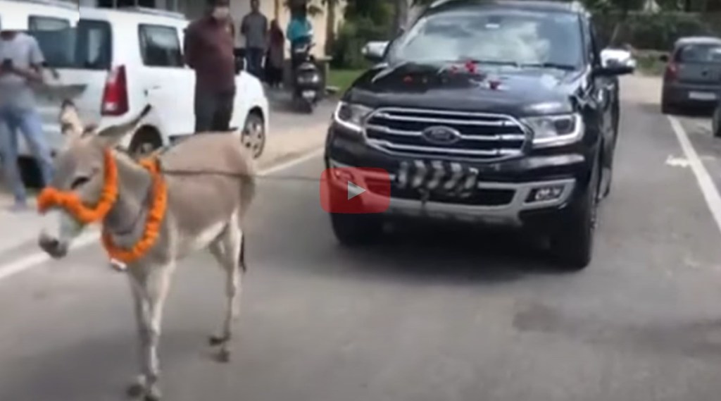 Car Pull by Donkey
