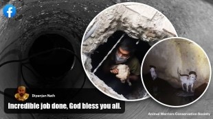 Hyderabad animal activist group rescues puppies