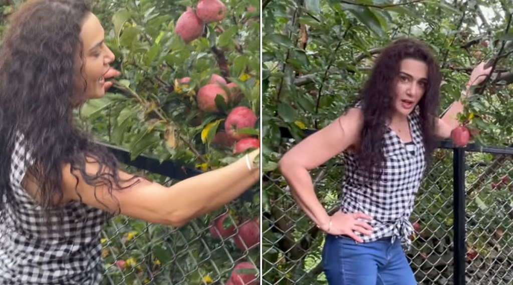 Preity-Zinta-farming