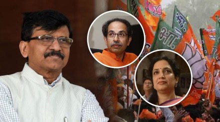 Saamna editorial rashmi thackeray shiv sena mp sanjay raut narayan rane Saamna editorial rashmi thackeray shiv sena mp sanjay raut narayan rane