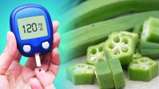 okra-superfood-for-diabetic-patients-know-these-benefits-gst-97