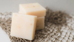 Eat cheese lose weight These are 6 best options gst 97