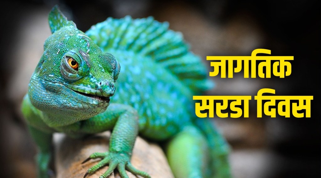 World Lizard Day 2021