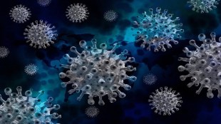 coronavirus