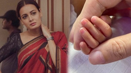 dia mirza,