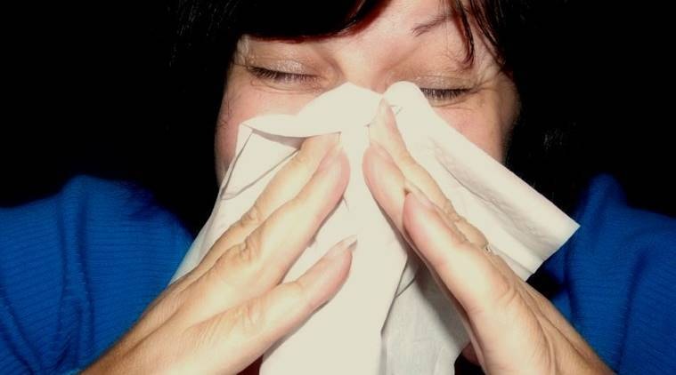 धुळीची एलर्जी झाल्यास तुम्ही हळद आणि काळी मिरीचा वापर करू शकतात.