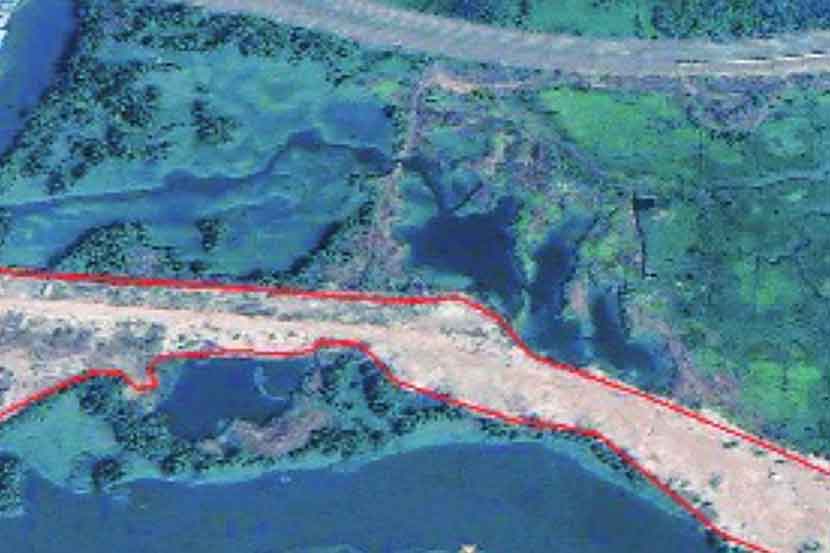 मुंब्रा-देसाई खाडीत अडीच हेक्टर जागेत खारफुटीची कत्तल मुंब्रा-देसाई खाडीत अडीच हेक्टर जागेत खारफुटीची कत्तल