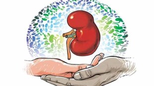 health
