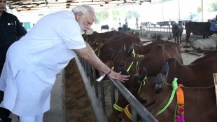 sanjay Raut, narendra modi, meghalaya,bjp,beef