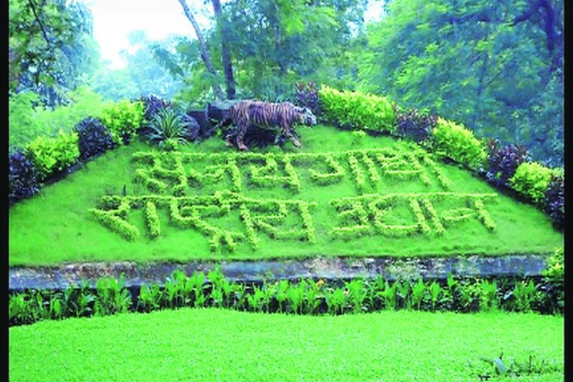 हजारो डोळ्यांचे राष्ट्रीय उद्यानावर लक्ष