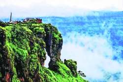 २५ सूचनांचाच पर्यावरण मंत्रालयाकडून स्वीकार