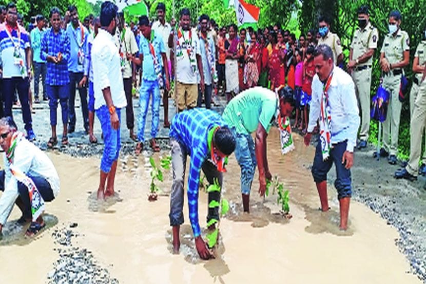 रस्त्यावरील खड्डय़ांमध्ये वृक्षारोपण