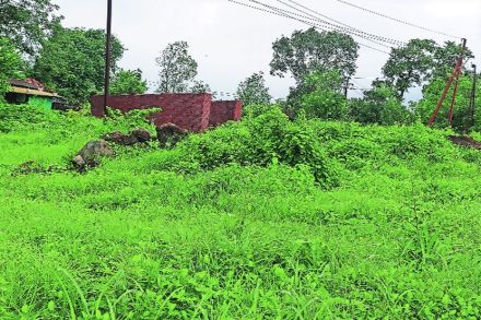 मनोर वन विभागाच्या जागेत अतिक्रमण