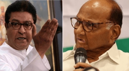 raj thackeray on sharad pawar cast politics in maharashtra ncp
