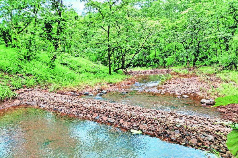 मुरबाडमधील गाव-पाडय़ांच्या पाणीप्रश्नावर मात