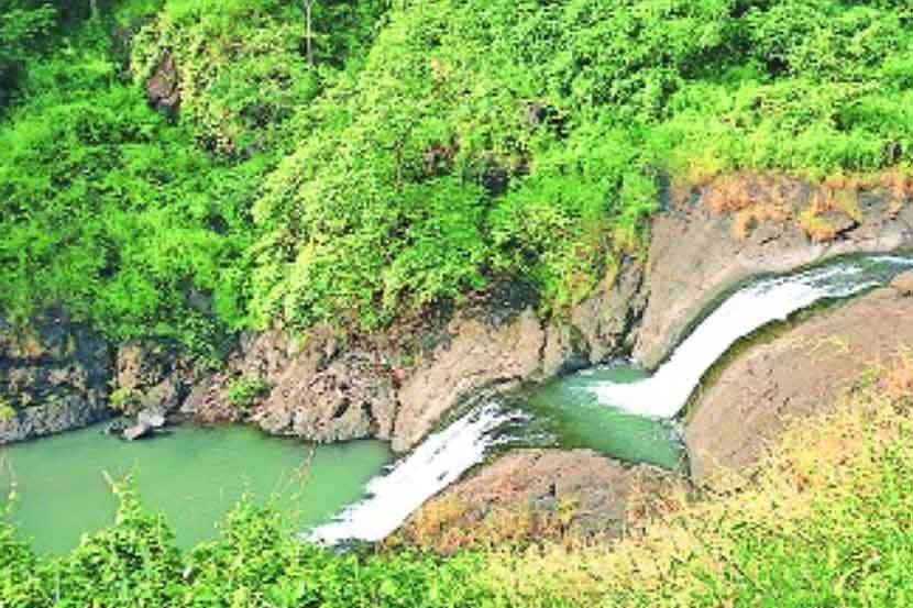 येऊर, तुंगारेश्वरसाठी अखेर स्वतंत्र वन व्यवस्थापन येऊर, तुंगारेश्वरसाठी अखेर स्वतंत्र वन व्यवस्थापन