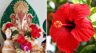 Ganesh Chaturthi 2021 Hibiscus Durva Importance