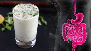 Health-Digestion