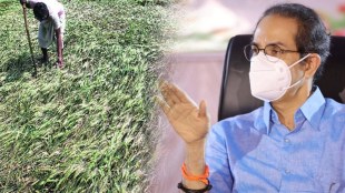 cm uddhav thackeray on marathwada rain