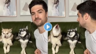 dog recation