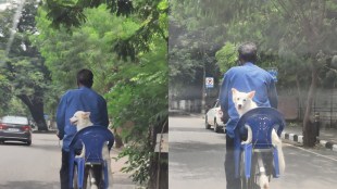 mans desi jugad for dog