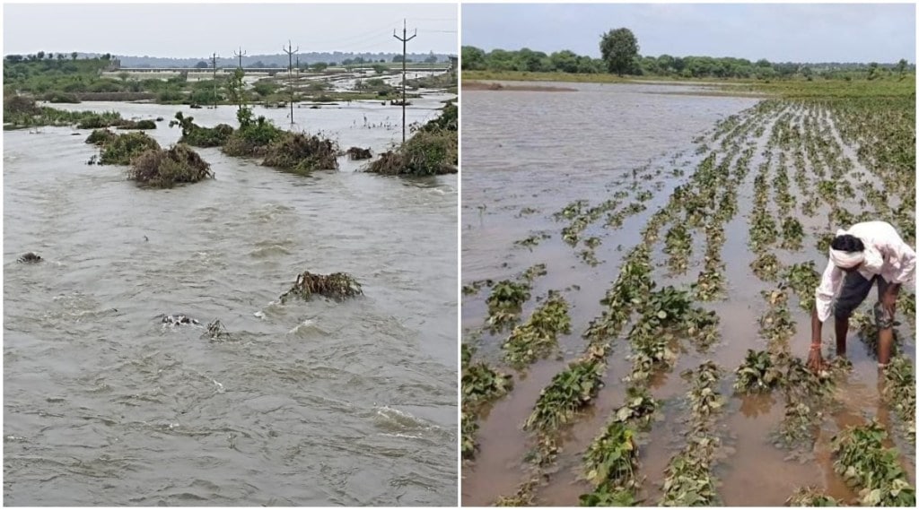 मुखेड तालुक्यात मन्याड नदीला आलेल्या पुरामुळे शेतात पाणी घुसून पिकांचे प्रचंड नुकसान झाले आहे (छायाचित्र ः हाफीज खान पठाण)
