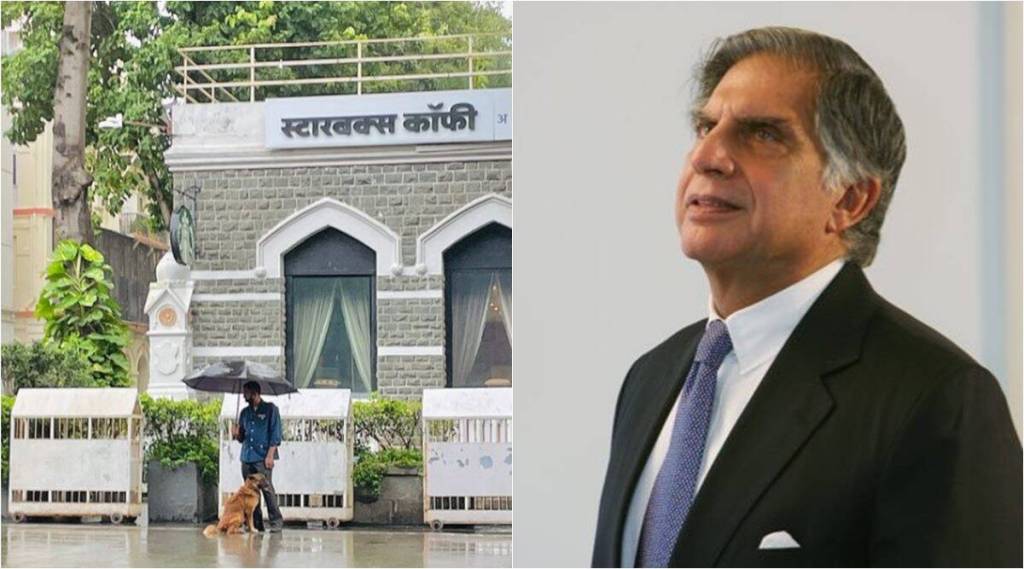 ratan-tata-stray-dog-umbrella