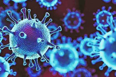 स्वानुभवातून कोविडबोध