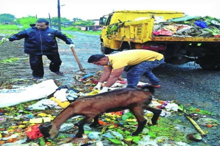 उल्हास नदी निर्माल्यमुक्त करण्यासाठी पर्यावरणप्रेमी सरसावले! उल्हास नदी निर्माल्यमुक्त करण्यासाठी पर्यावरणप्रेमी सरसावले!