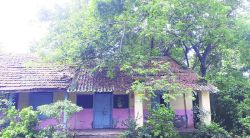 जिल्हा परिषद शाळा महापालिकेकडे हस्तांतरित करणार