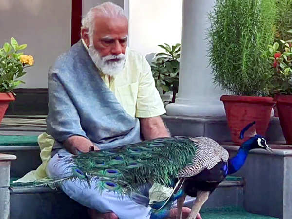 PM Narendra Modi declares his assets Know his bank balance other property details and gold information