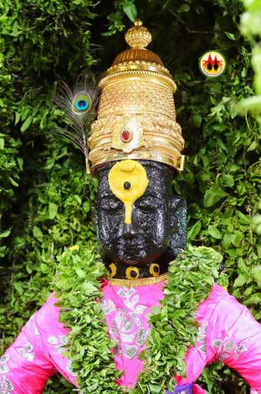 Pandharpur Shri Vitthal Rukimini Mandir Navratri 2021 Photos