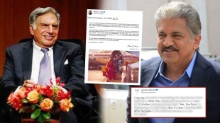 Tata Anand Anand mahindra