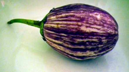 brinjal-benefits-for-BLOOD-SUGAR