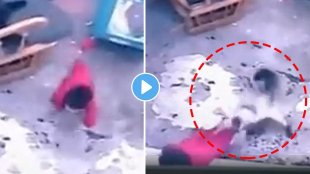 cat-saves-a-kid-from-falling-down-the-stairs