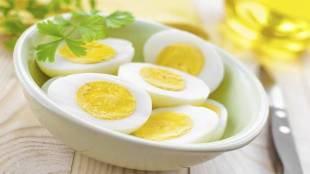 eggs_759