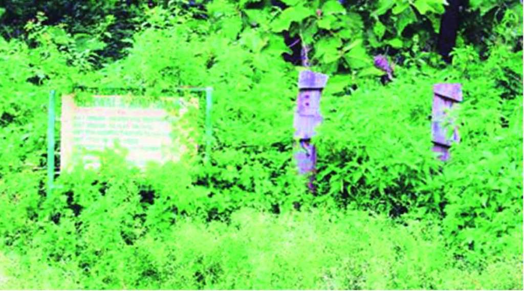 ‘महेंद्री जंगलाला अभयारण्याचा दर्जा द्या’