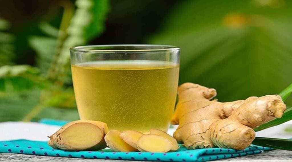 ginger-on-control-high-uric-acid