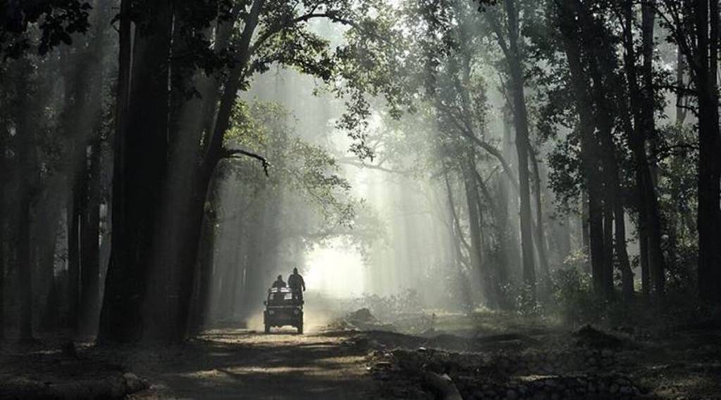 ‘कॉर्बेट’चं काय करायचं?