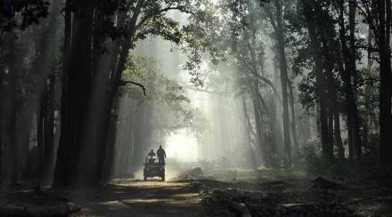 ‘कॉर्बेट’चं काय करायचं?