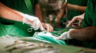pig's kidney to a human body