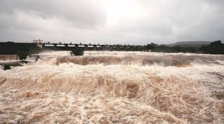 मध्य गोदावरी उपखोऱ्यातील १९.२९ टीएमसी अतिरिक्त पाणी वापरास मान्यता