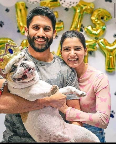 समांथा आणि नागा चैतन्याच्या विभक्त होण्यामागचं नेमकं कारण समोर आलं नसलं तरी समांथाच्या करियरमुळे दोघांमध्ये फूट पडल्याच्या चर्चा रंगू लागल्या होत्या.