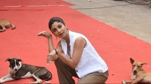 shilpa shetty, shilpa shetty troll,