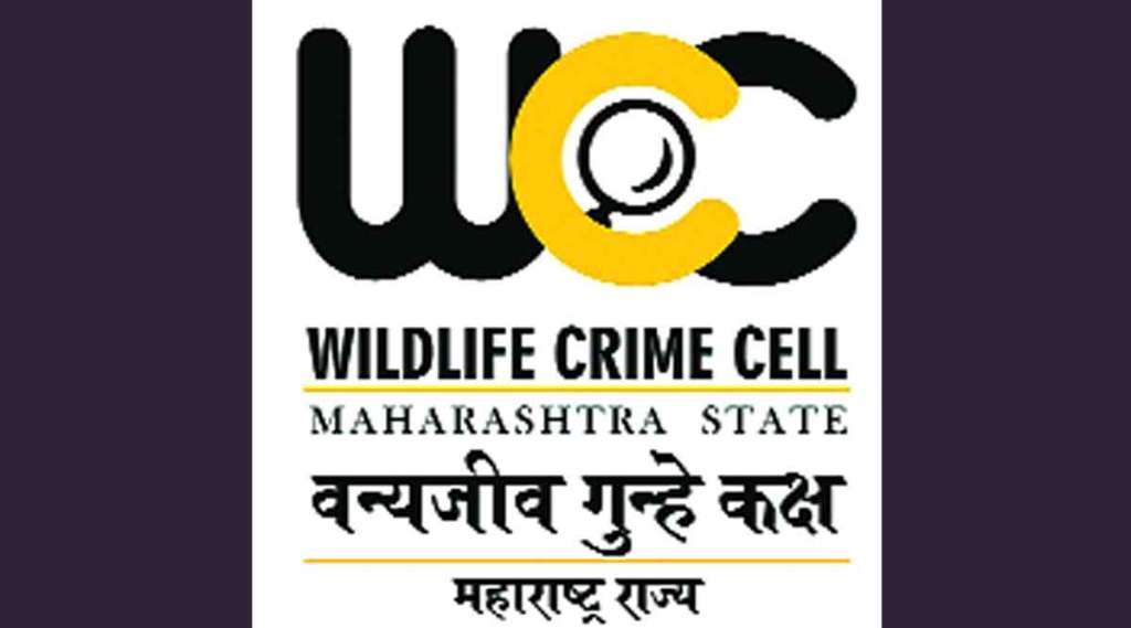 वन्यजीव शिकारी, अवयव तस्करी रोखण्यासाठी वनखात्याची यंत्रणा सज्ज